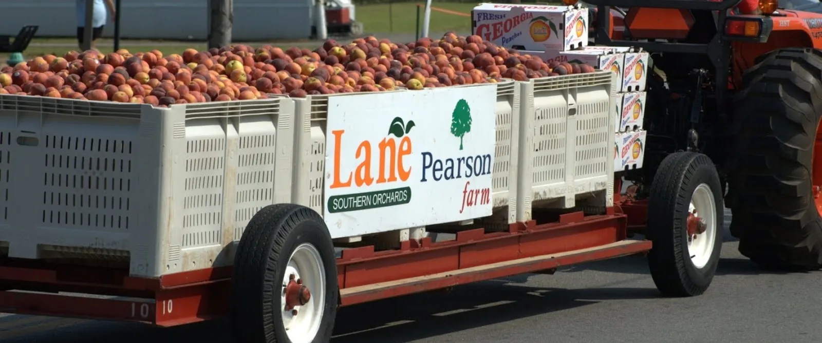 40th Georgia Peach Festival in Fort Valley, GA - food and drink stalls and crowds (photo 2 of 4)