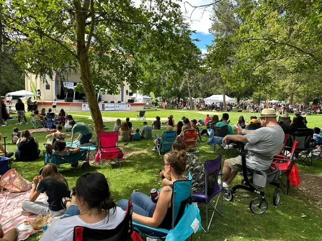 Boise Soul Food Festival in Boise, ID - scenes from the festival weekend (photo 3 of 4)