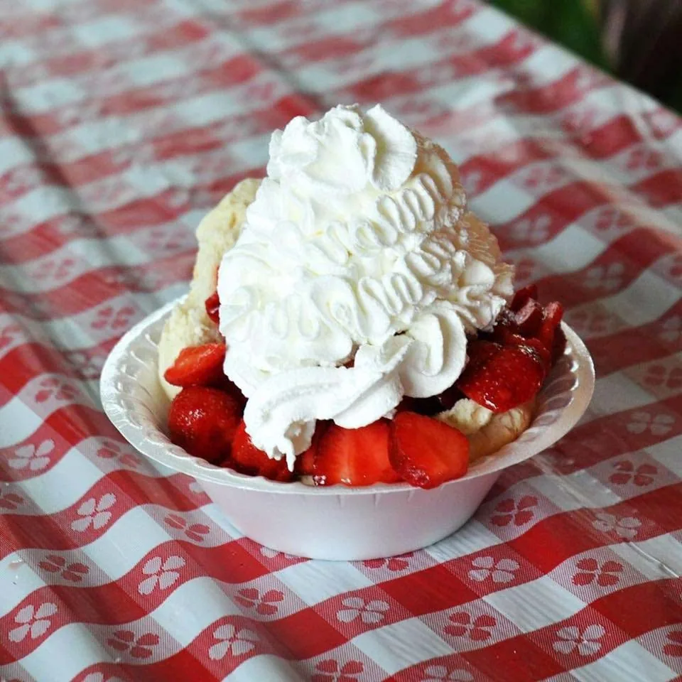 Cheshire Strawberry Festival in Cheshire , CT - sights around the festival grounds (photo 4 of 4)