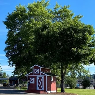 Enumclaw Wine & Chocolate Festival in Enumclaw , WA - sights around the festival grounds (photo 4 of 4)