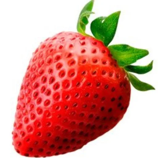 Florida Strawberry Festival in Plant City, FL - food and drink stalls and crowds (photo 2 of 2)