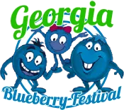 Georgia Blueberry Festival in Alma , GA - festival atmosphere (photo 1 of 4)