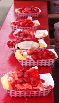 Happy Valley Strawberry Festival in Anderson , CA - festival atmosphere (photo 1 of 4)