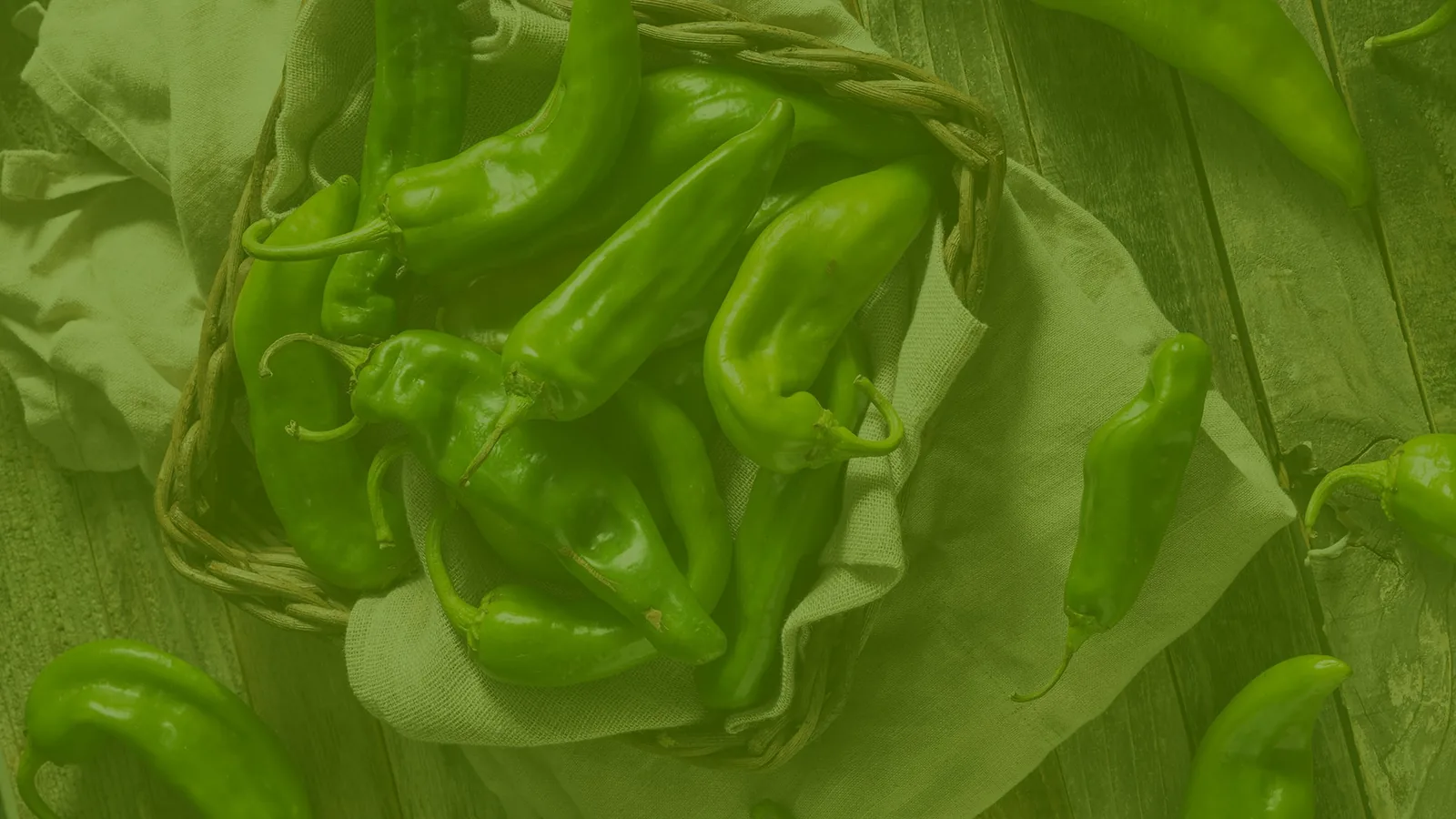 Hatch Chile Festival in Hatch , NM - festival atmosphere (photo 1 of 4)