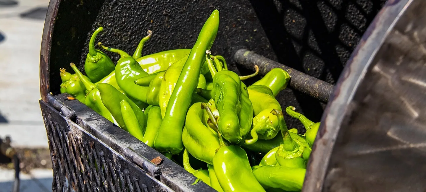 Hatch Chile Festival in Hatch , NM - scenes from the festival weekend (photo 3 of 4)