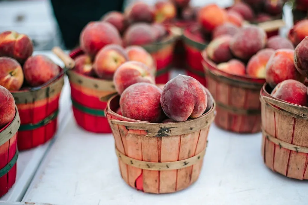 Louisiana Peach Festival in Ruston , LA - festival atmosphere (photo 1 of 4)