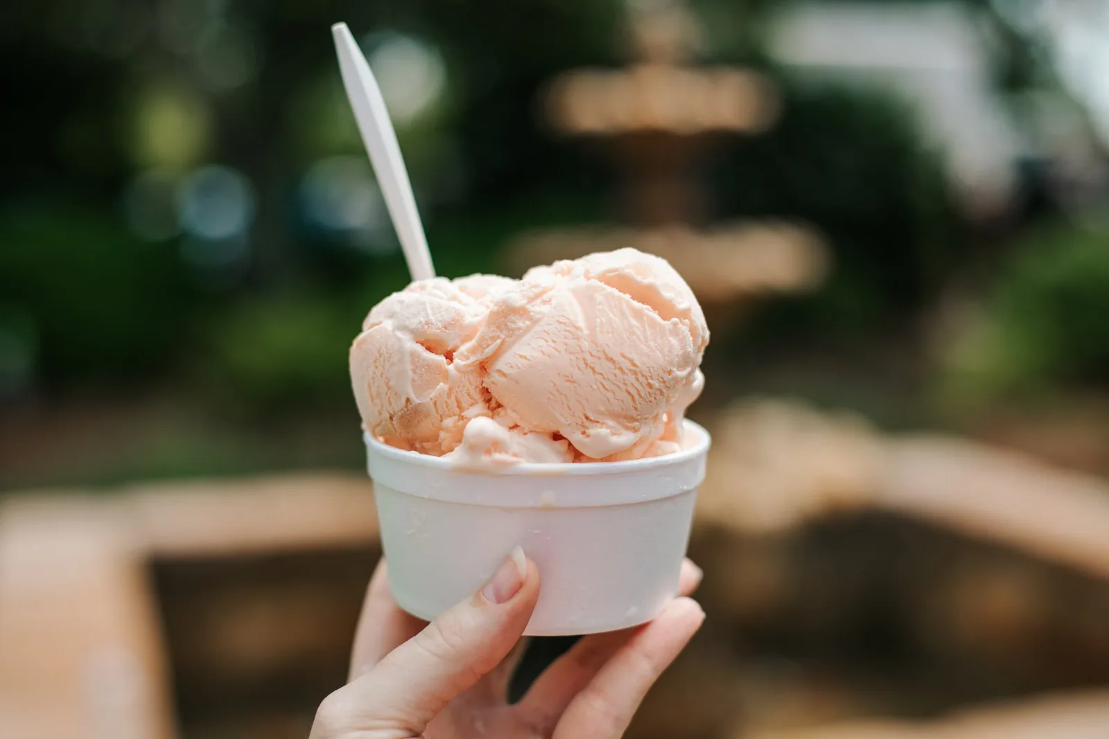 Louisiana Peach Festival in Ruston , LA - sights around the festival grounds (photo 4 of 4)