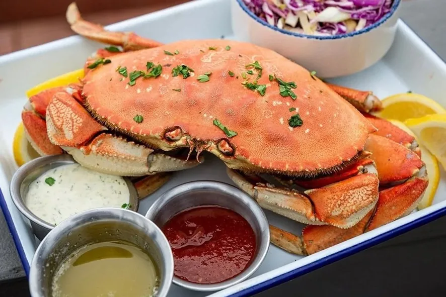 Mendocino Crab, Beer & Wine Festival in Mendocino , CA - sights around the festival grounds (photo 4 of 4)