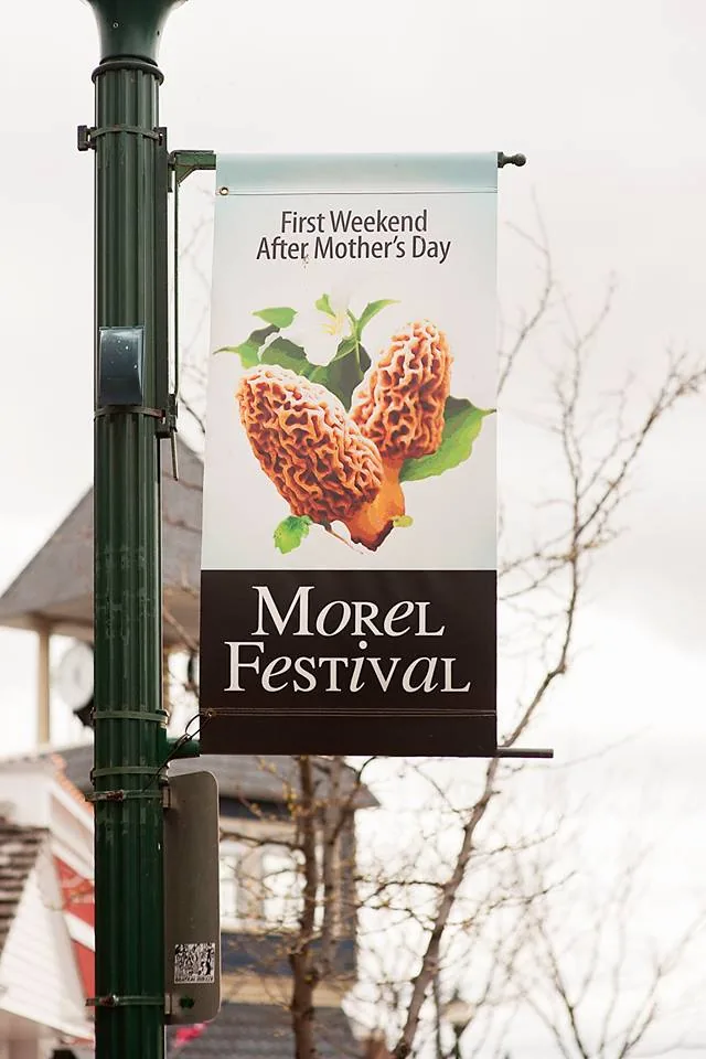 National Morel Mushroom Festival in Boyne City, MI - festival atmosphere (photo 1 of 4)