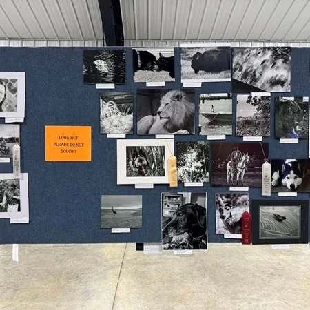 National Peanut Festival in Dothan , AL - scenes from the festival weekend (photo 3 of 4)