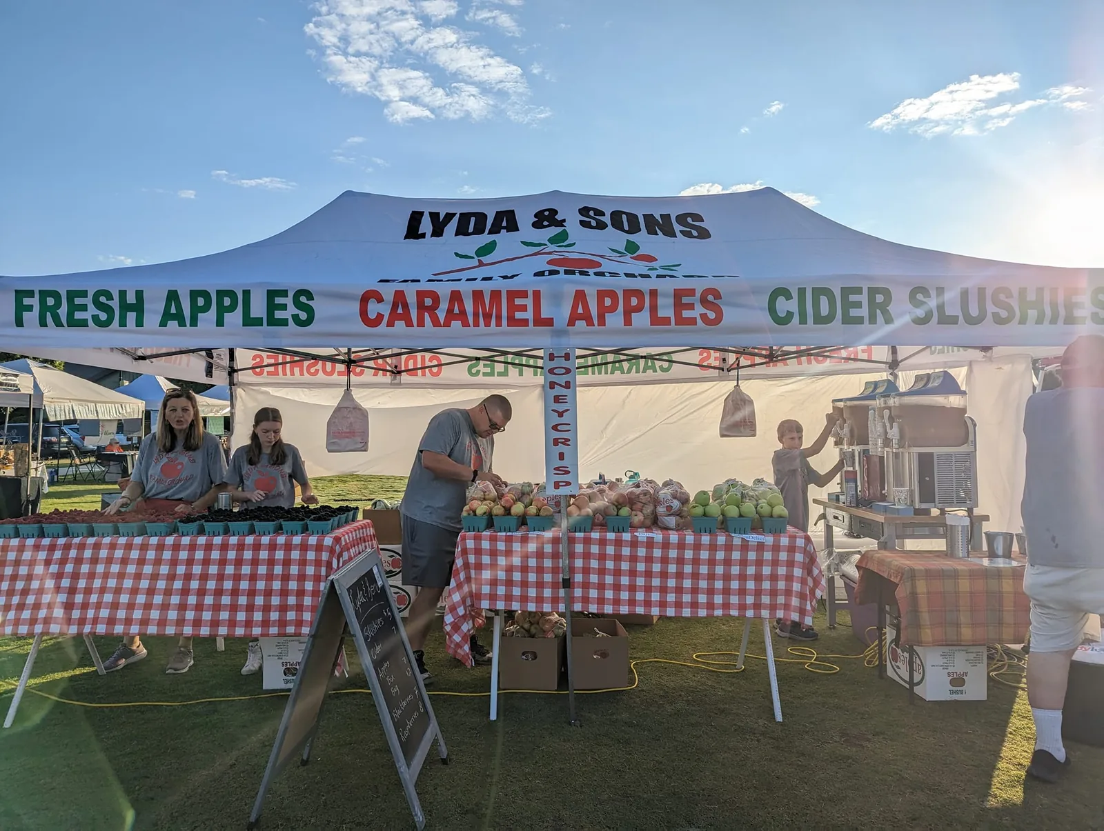North Carolina Apple Festival in Hendersonville , NC - food and drink stalls and crowds (photo 2 of 4)