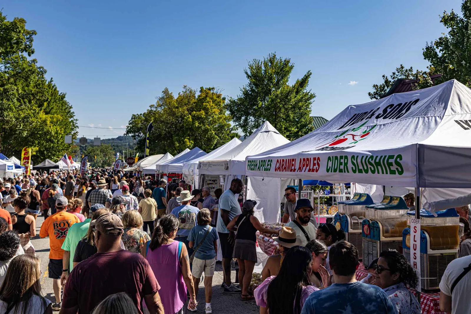 North Carolina Apple Festival in Hendersonville , NC - scenes from the festival weekend (photo 3 of 4)