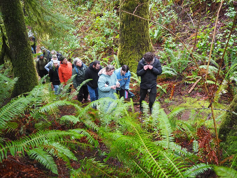 Oregon Truffle Festival in Eugene and the surrounding countryside, OR - scenes from the festival weekend (photo 3 of 4)