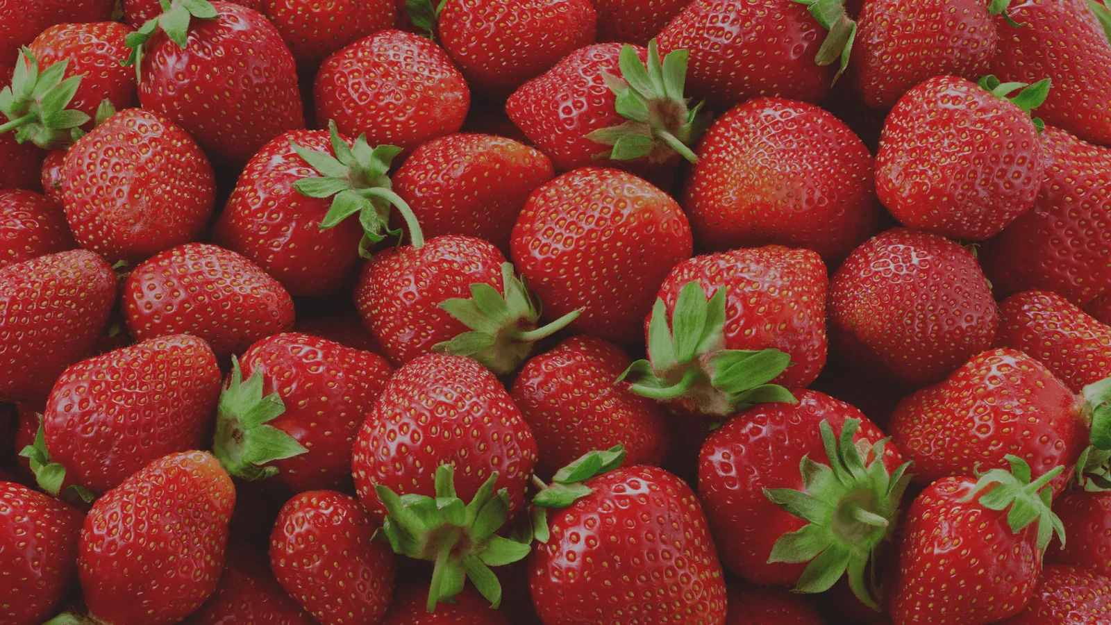 Ponchatoula Strawberry Festival in Ponchatoula , LA - scenes from the festival weekend (photo 3 of 3)