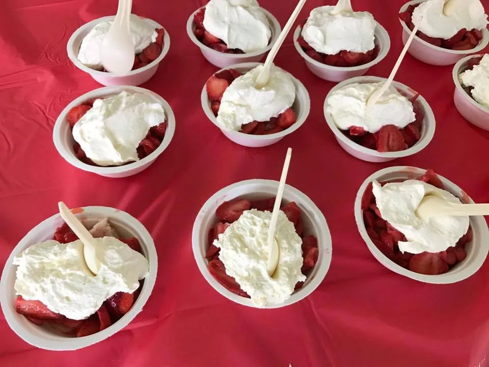 South Berwick Strawberry Festival in South Berwick , ME - food and drink stalls and crowds (photo 2 of 4)
