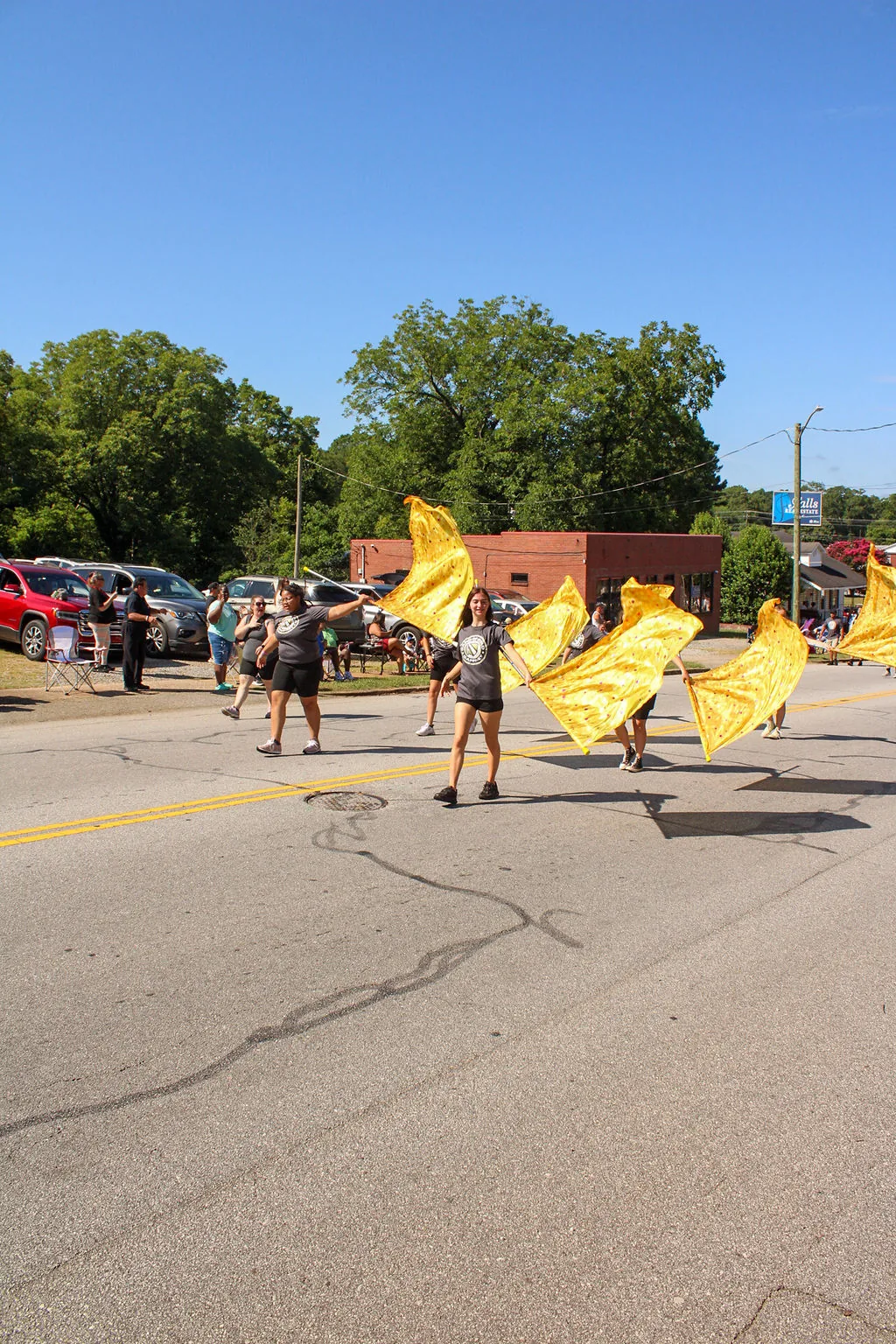 South Carolina Peach Festival in Gaffney, SC - food and drink stalls and crowds (photo 2 of 4)