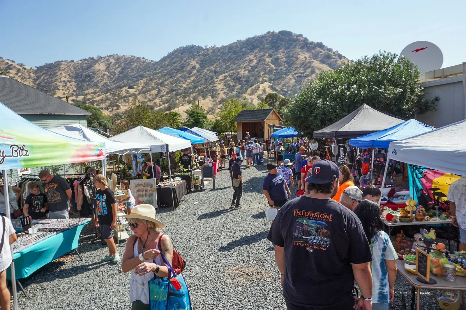 Springville Apple Festival in Springville , CA - sights around the festival grounds (photo 4 of 4)