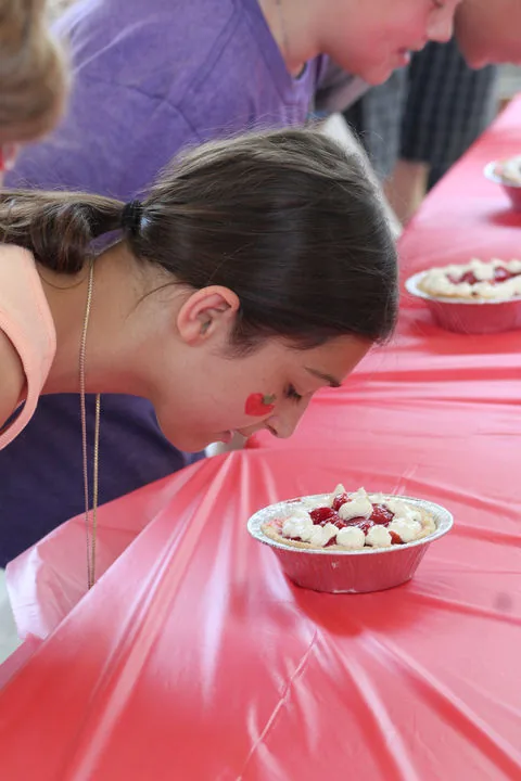 Strawberry Festival in Hartford , MI - festival atmosphere (photo 1 of 3)