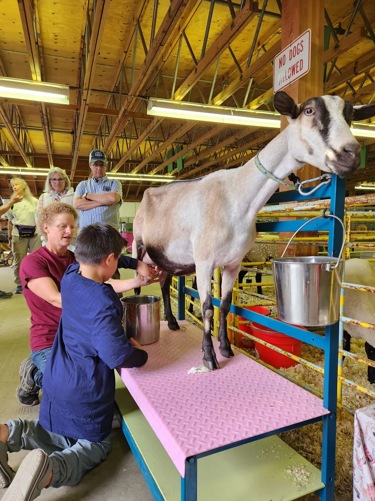 Tanana Valley State Fair in Fairbanks, AK - sights around the festival grounds (photo 4 of 4)