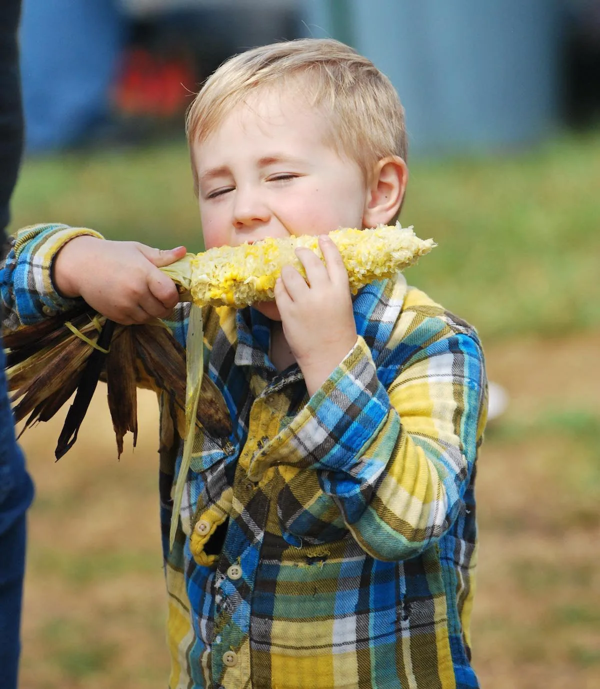 Washington State Garlic Fest - sights around the festival grounds (photo 4 of 4)