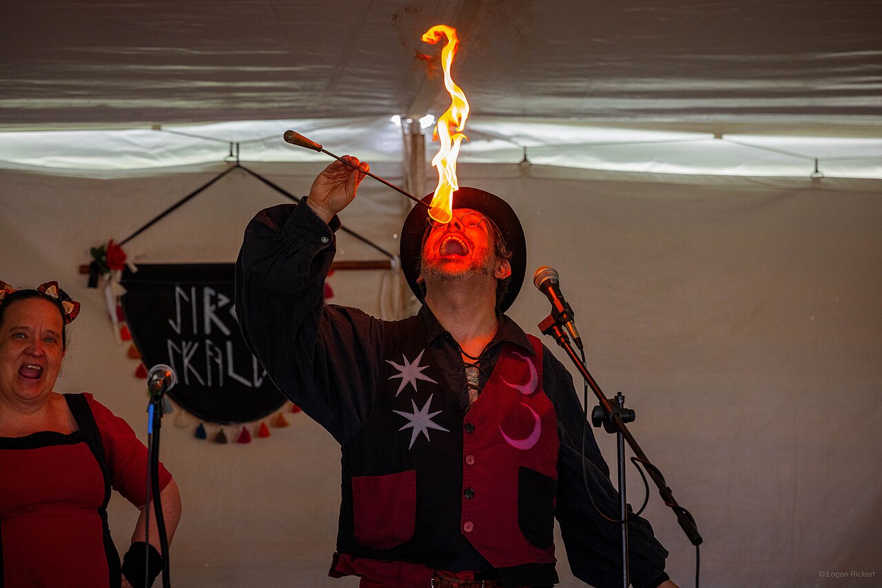 Scene from Ashville Viking Festival