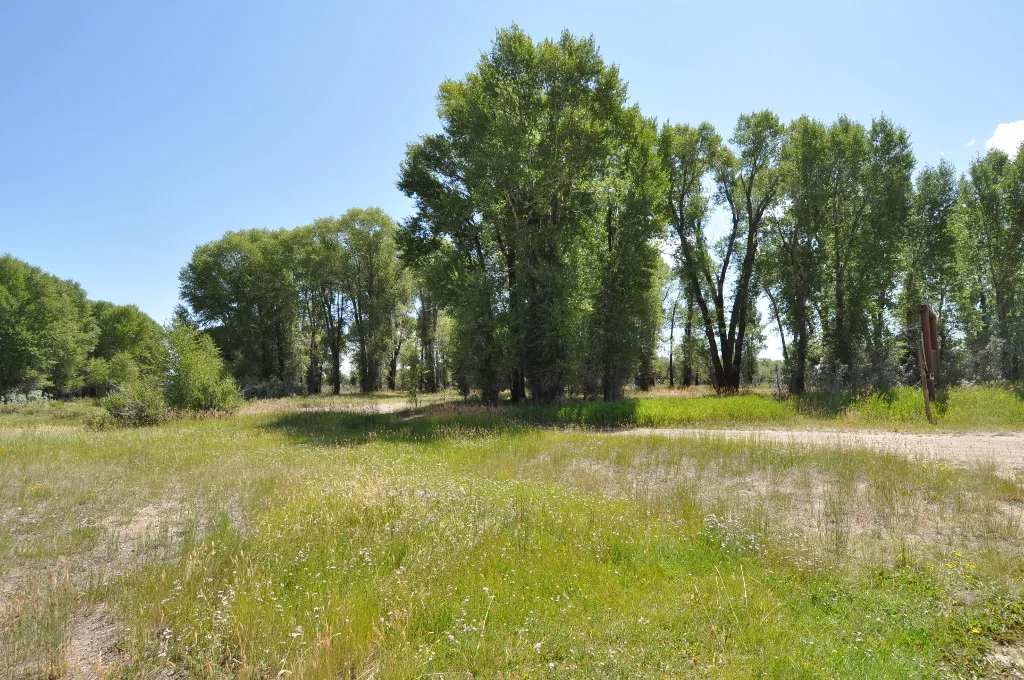 Green River Rendezvous in Pinedale, WY - festival grounds (photo 1 of 4)