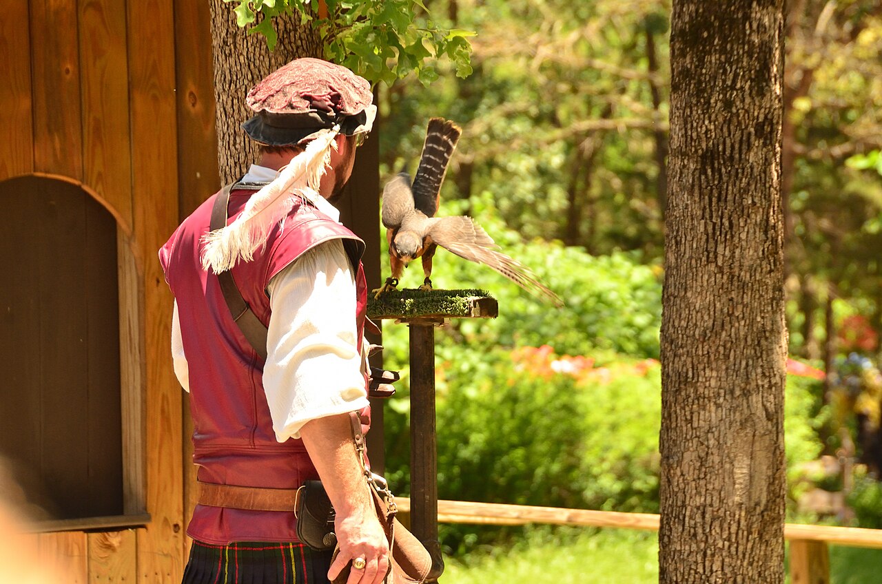 Scene from Sherwood Forest Faire