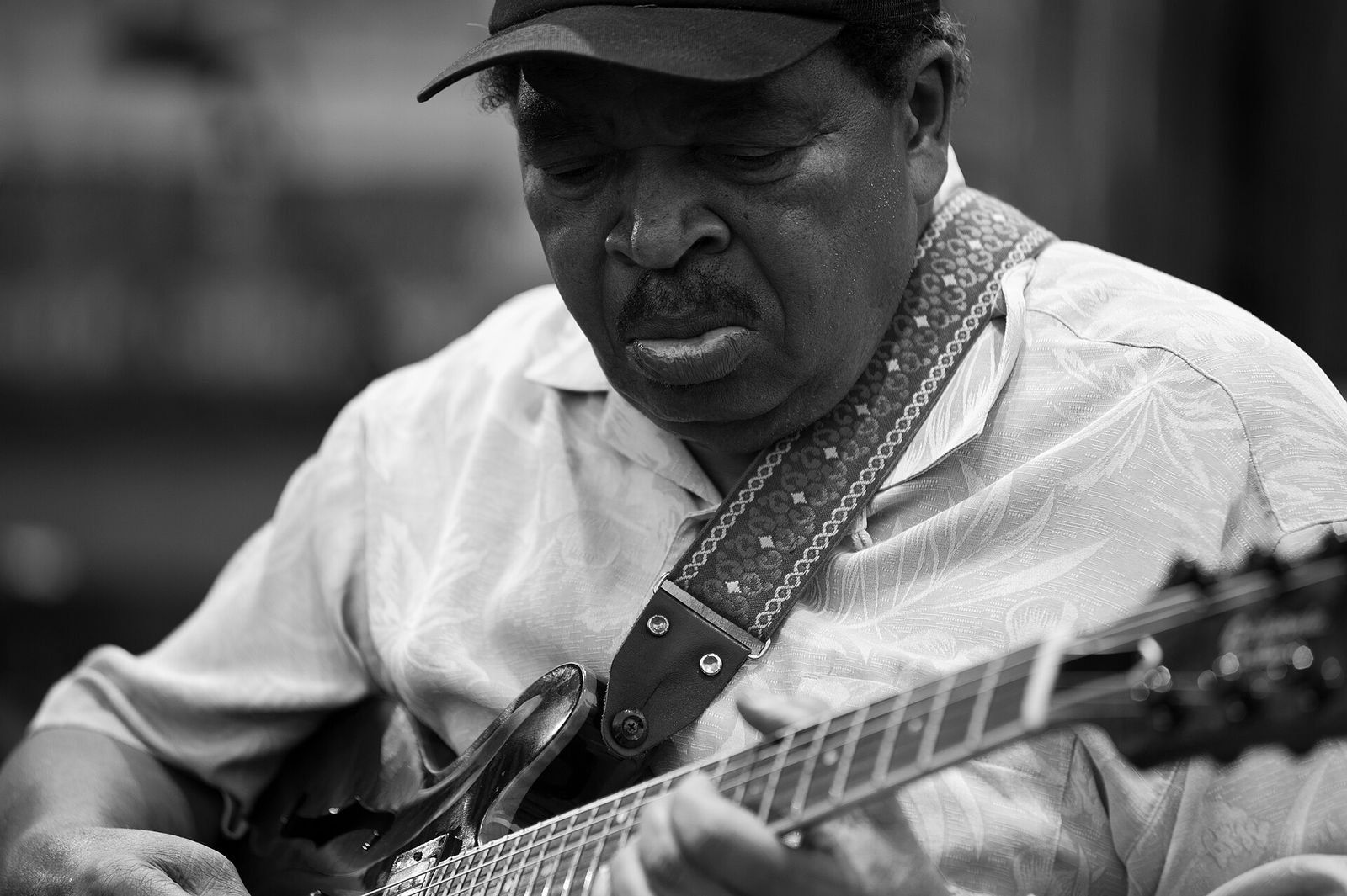 Chicago Blues Festival crowd in Chicago (2010)