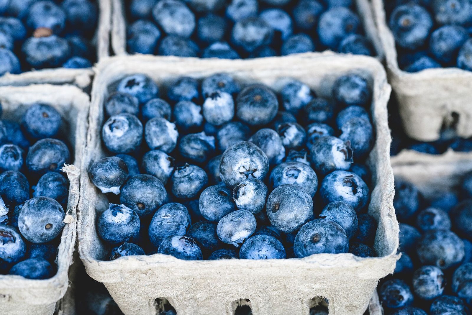Georgia Blueberry Festival