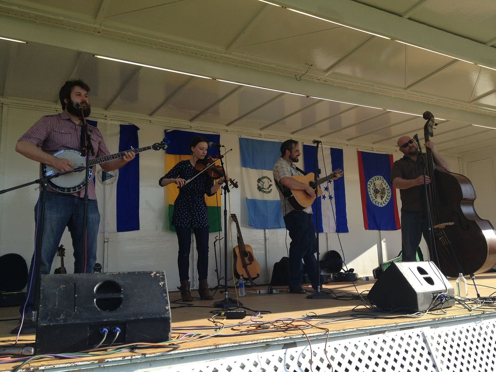 Bluegrass music festival crowd (2013)