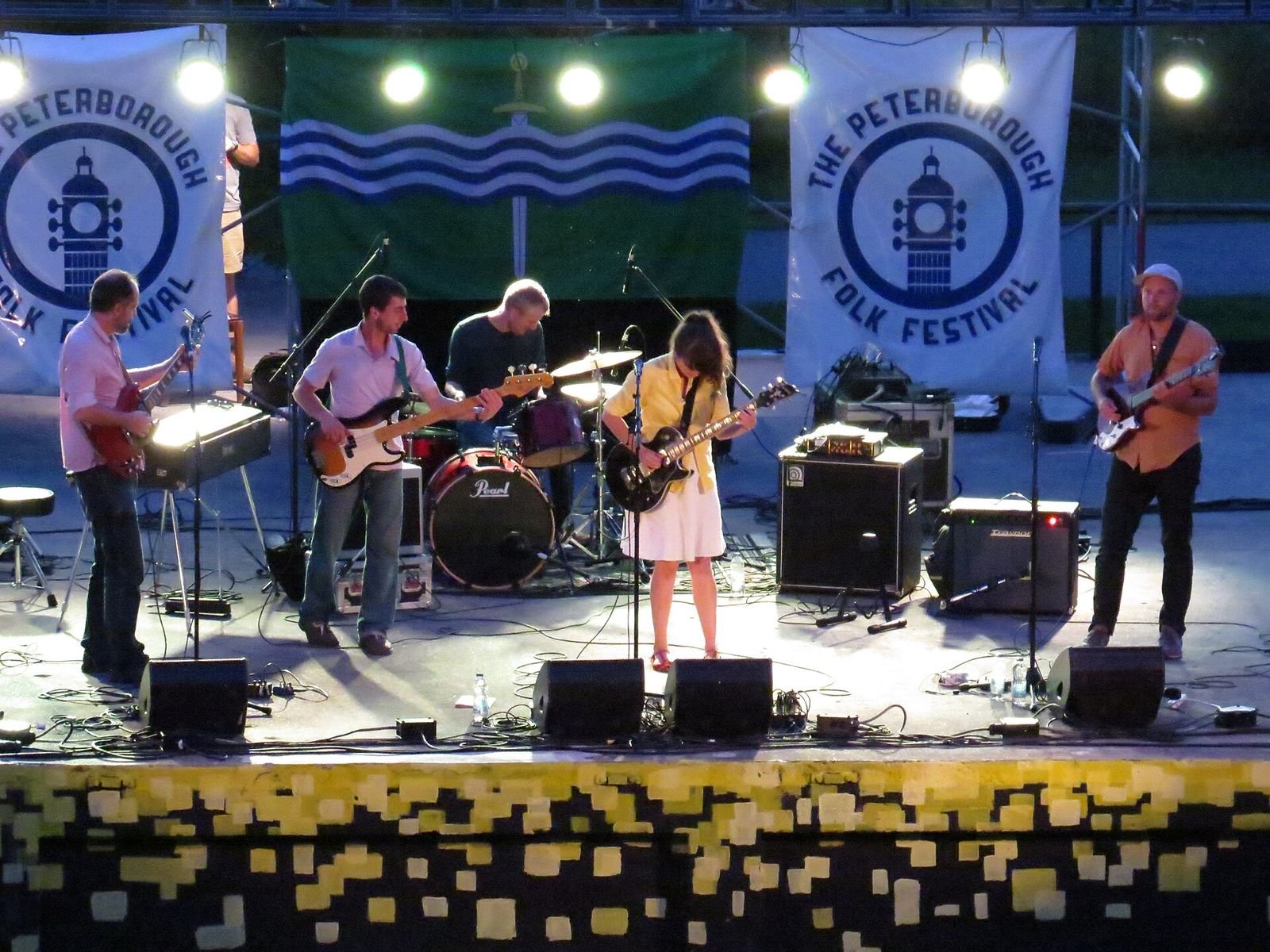 Indie music festival crowd (2014)