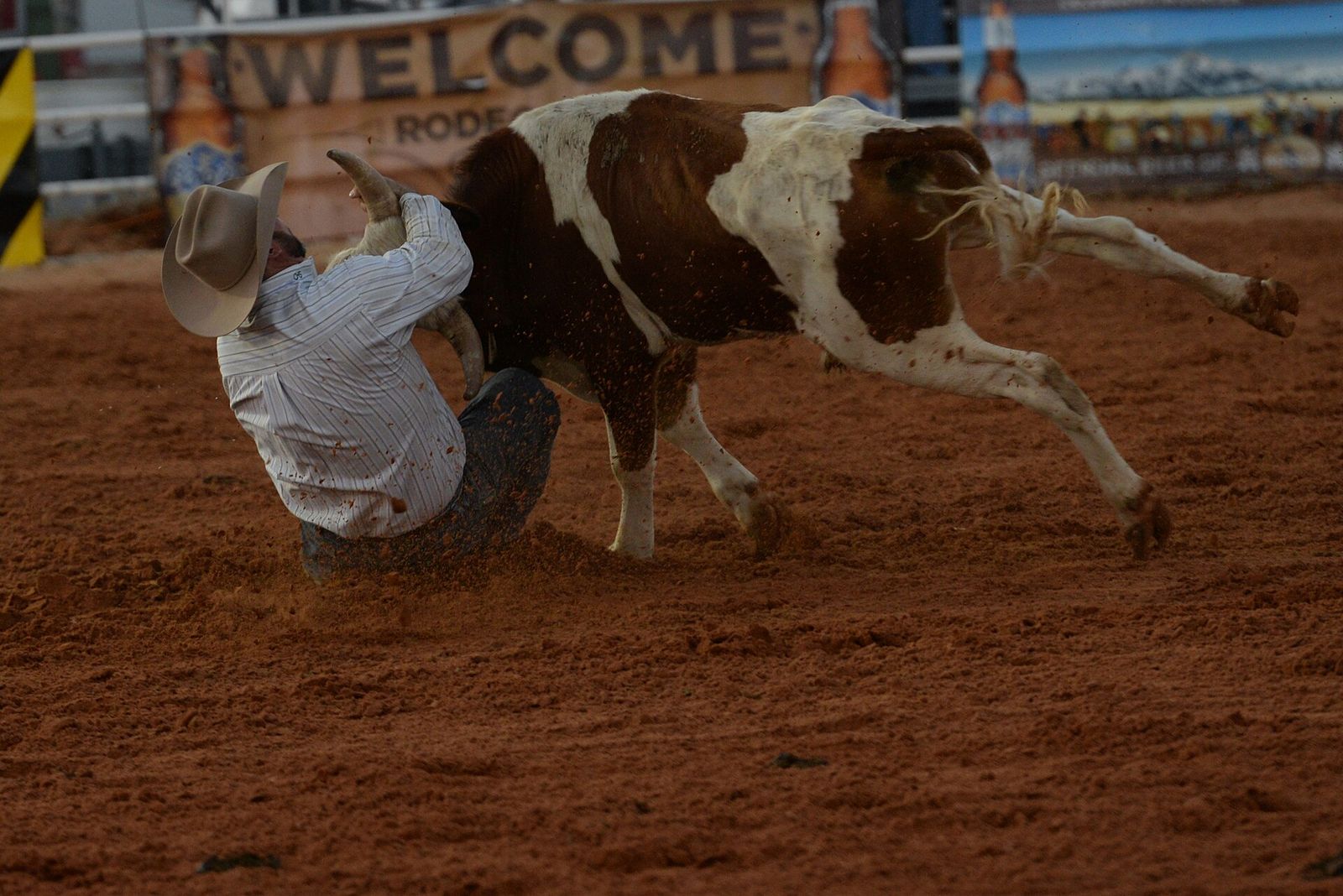 Rodeos & Fairs festival