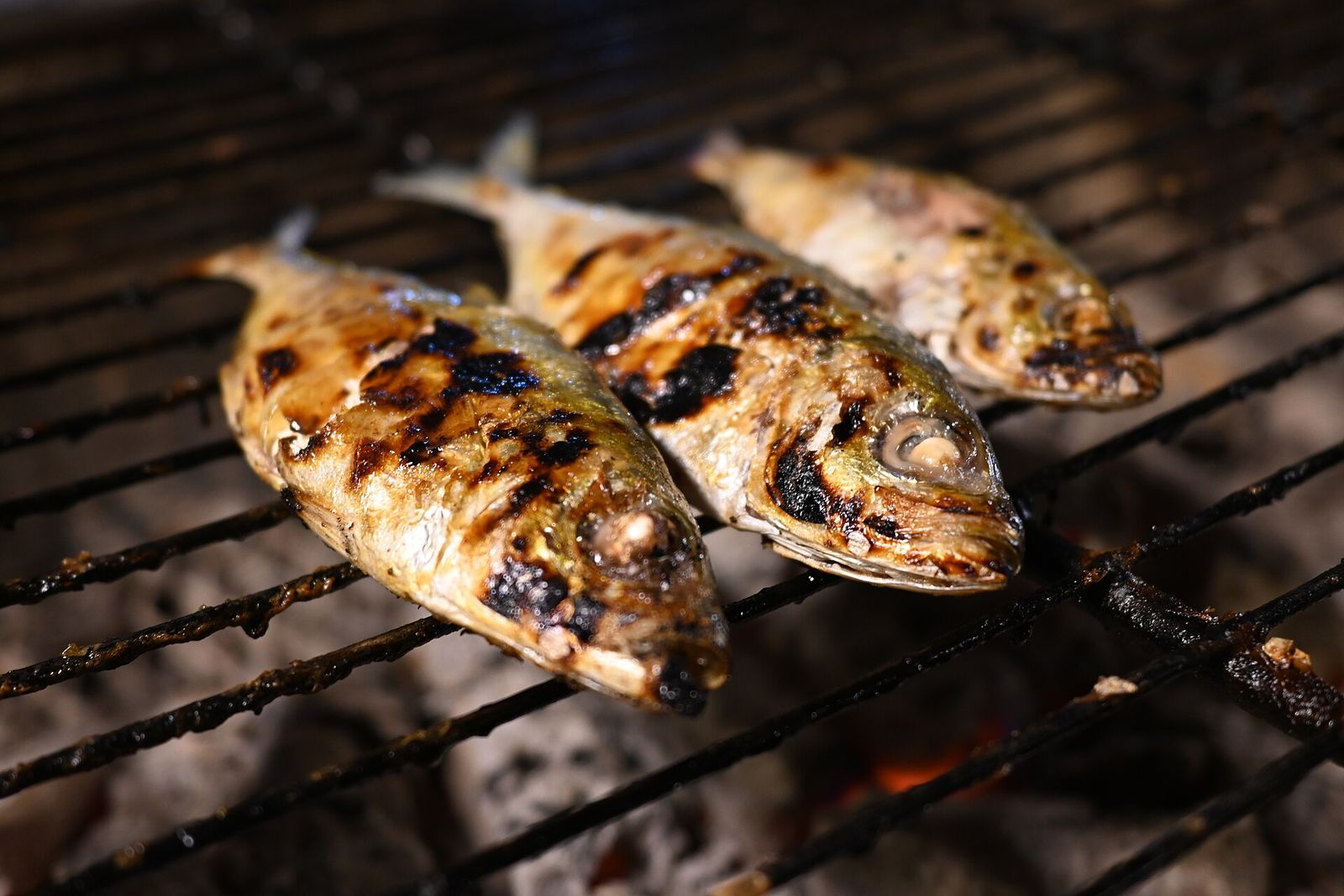 Seafood festival