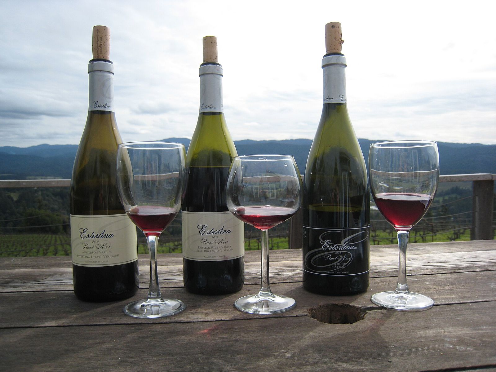 Wine festival