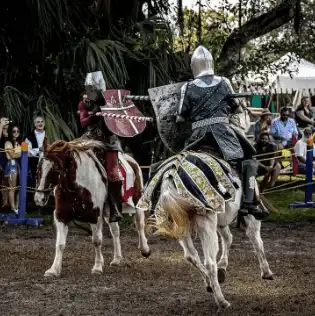 Florida Renaissance Festival, official poster and event artwork