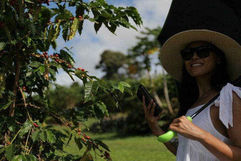 Kona Coffee Cultural Festival, official poster and event artwork