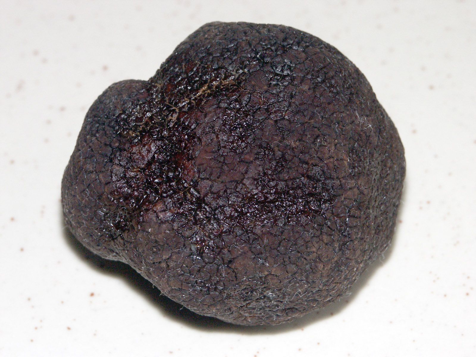 Napa Truffle Festival, official poster and event artwork