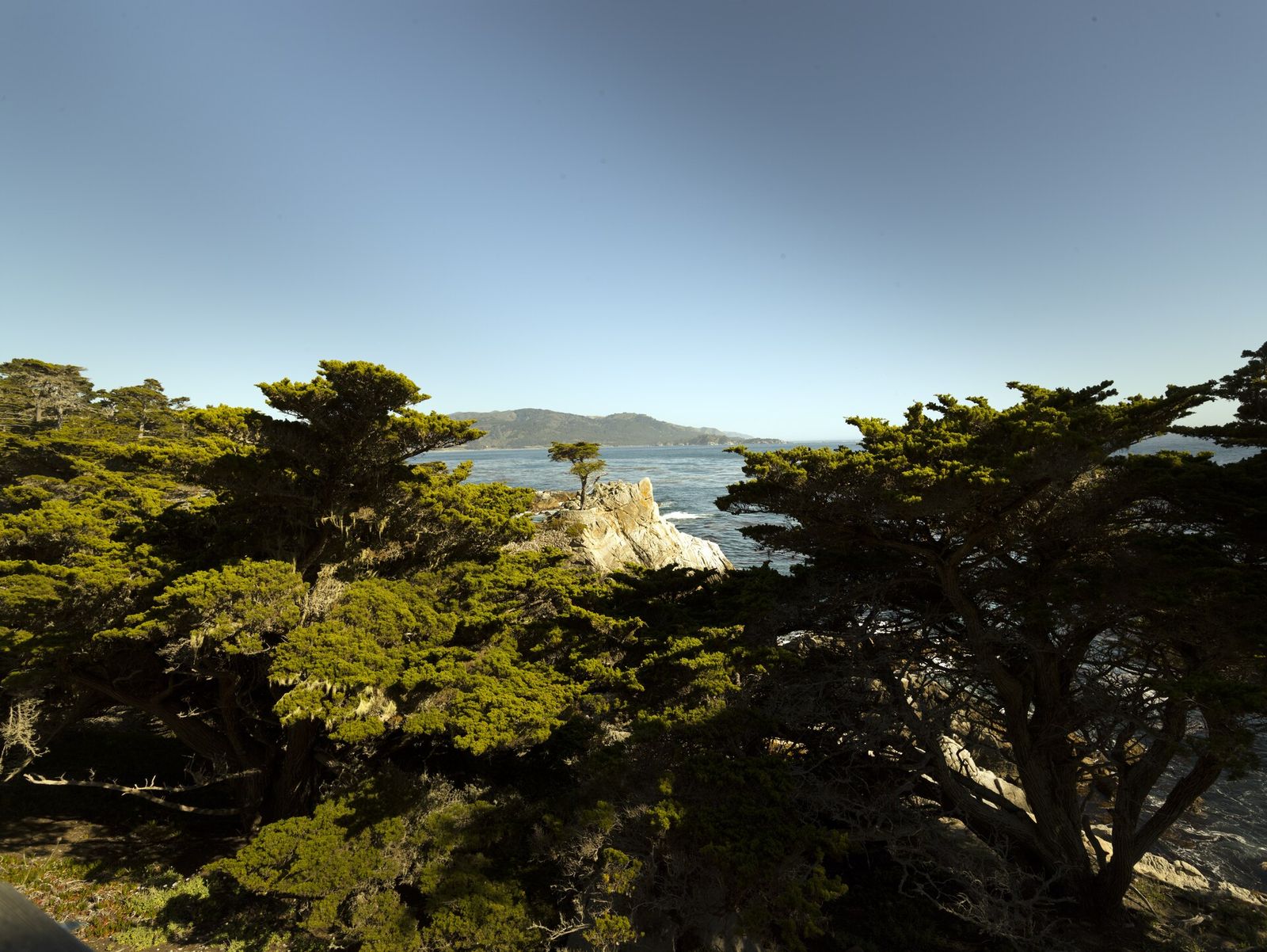 Pebble Beach Food & Wine, official poster and event artwork