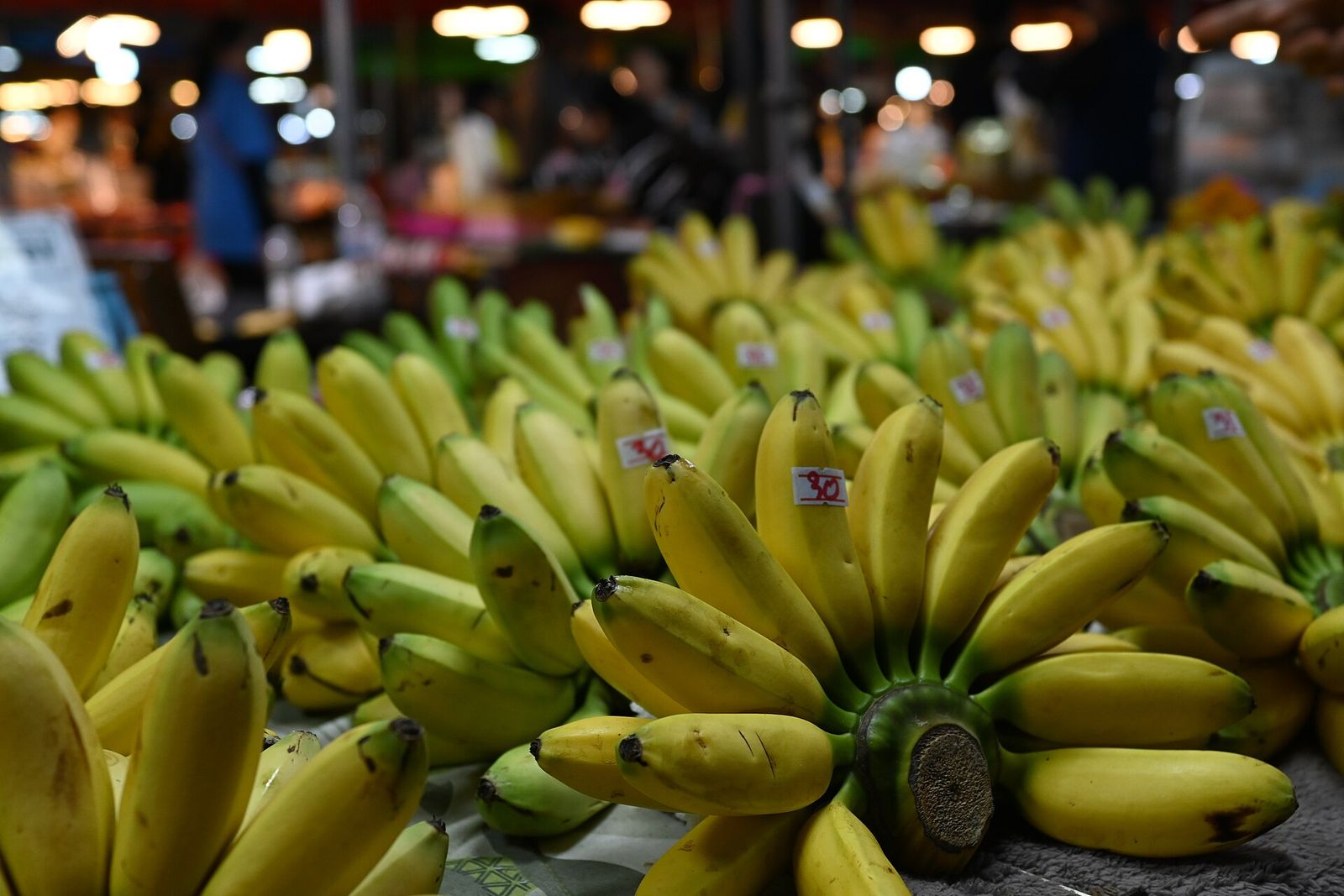 Port of Hueneme Banana Festival, official poster and event artwork