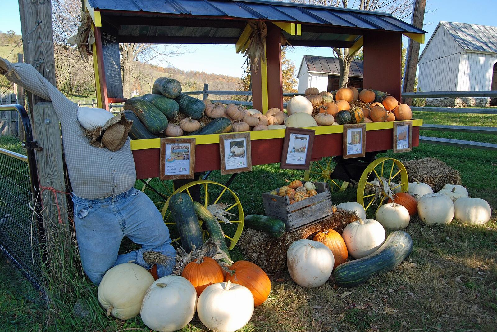 PumpkinFest, official poster and event artwork