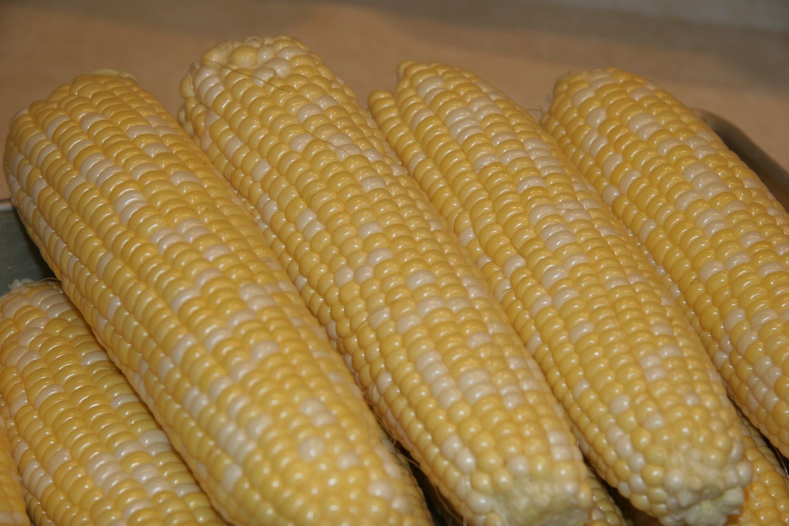 Taylor Sweet Corn Festival, official poster and event artwork