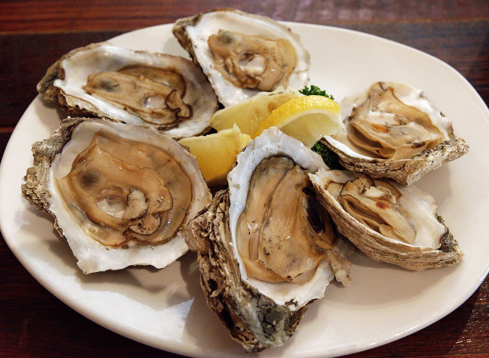 Wellfleet OysterFest, official poster and event artwork