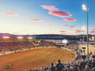 Reno Rodeo poster