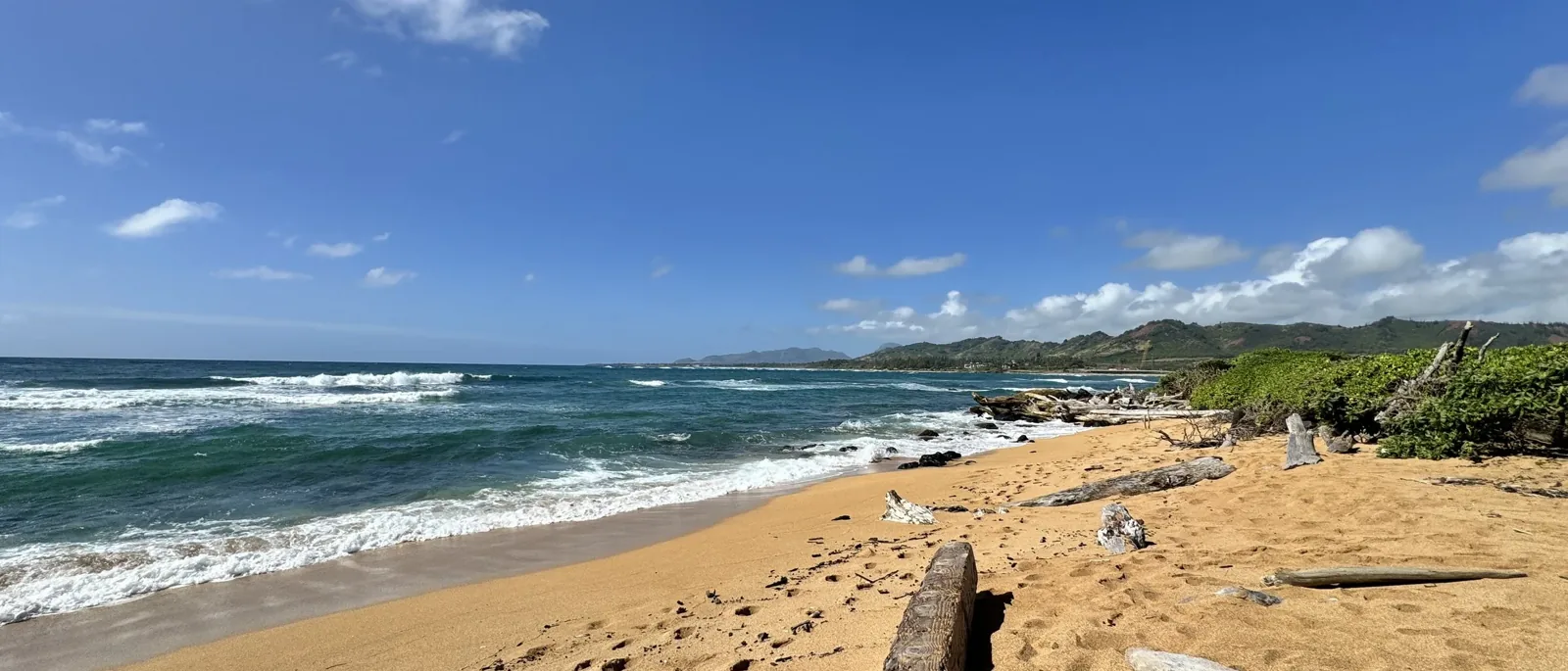 Driftwood-strewn golden sand and surf on Kauai's east shore near the festival site