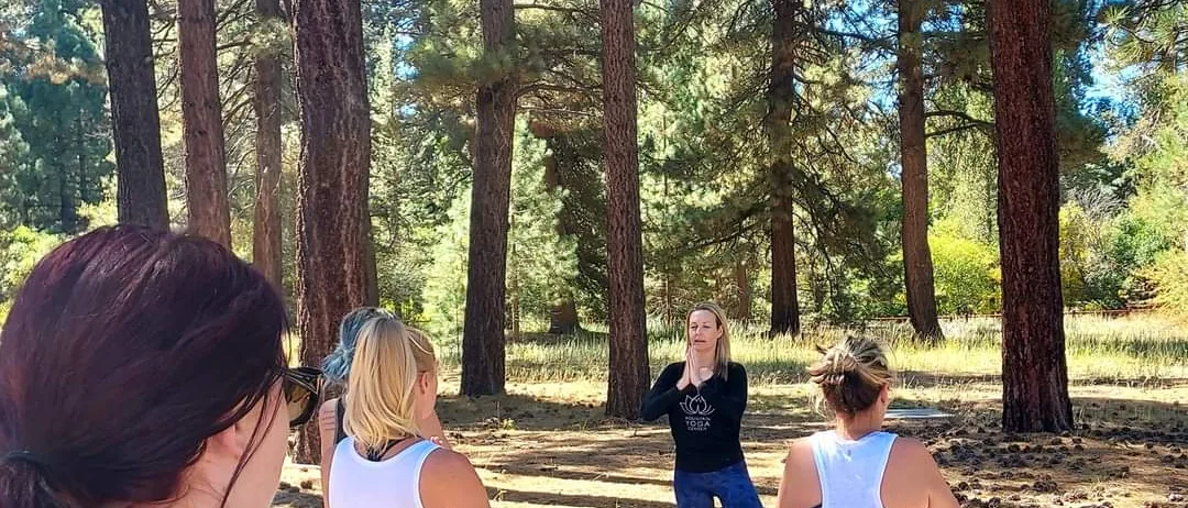 Outdoor class in tree pose among Jeffrey pines at Big Bear