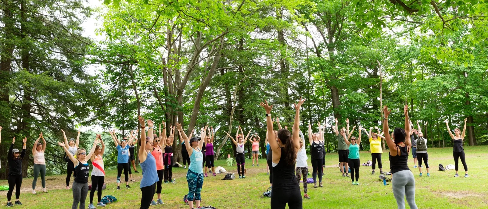 Standing class reaching skyward in a woodland clearing