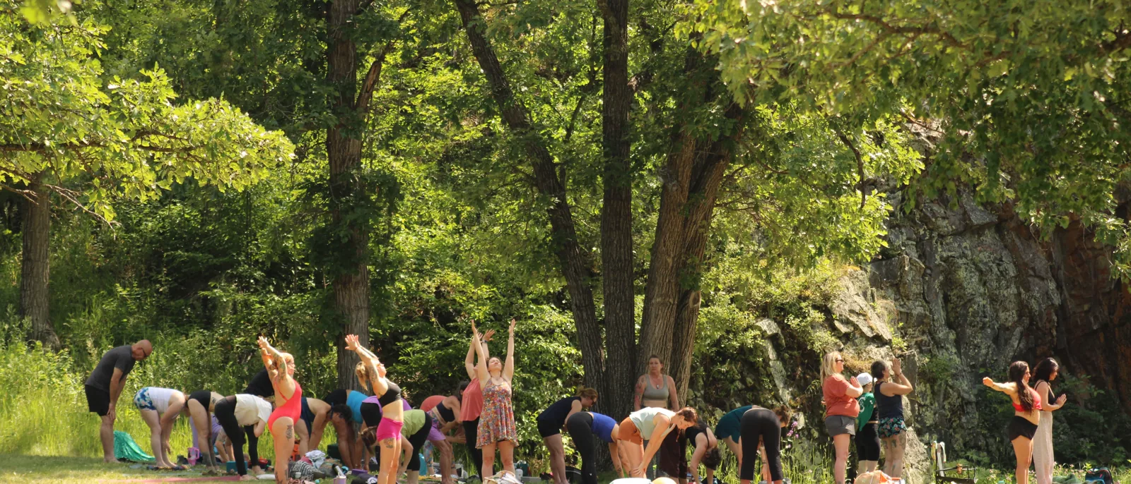 Sun salutations under the oaks beside the quarry wall at the South Dakota Yoga Gathering