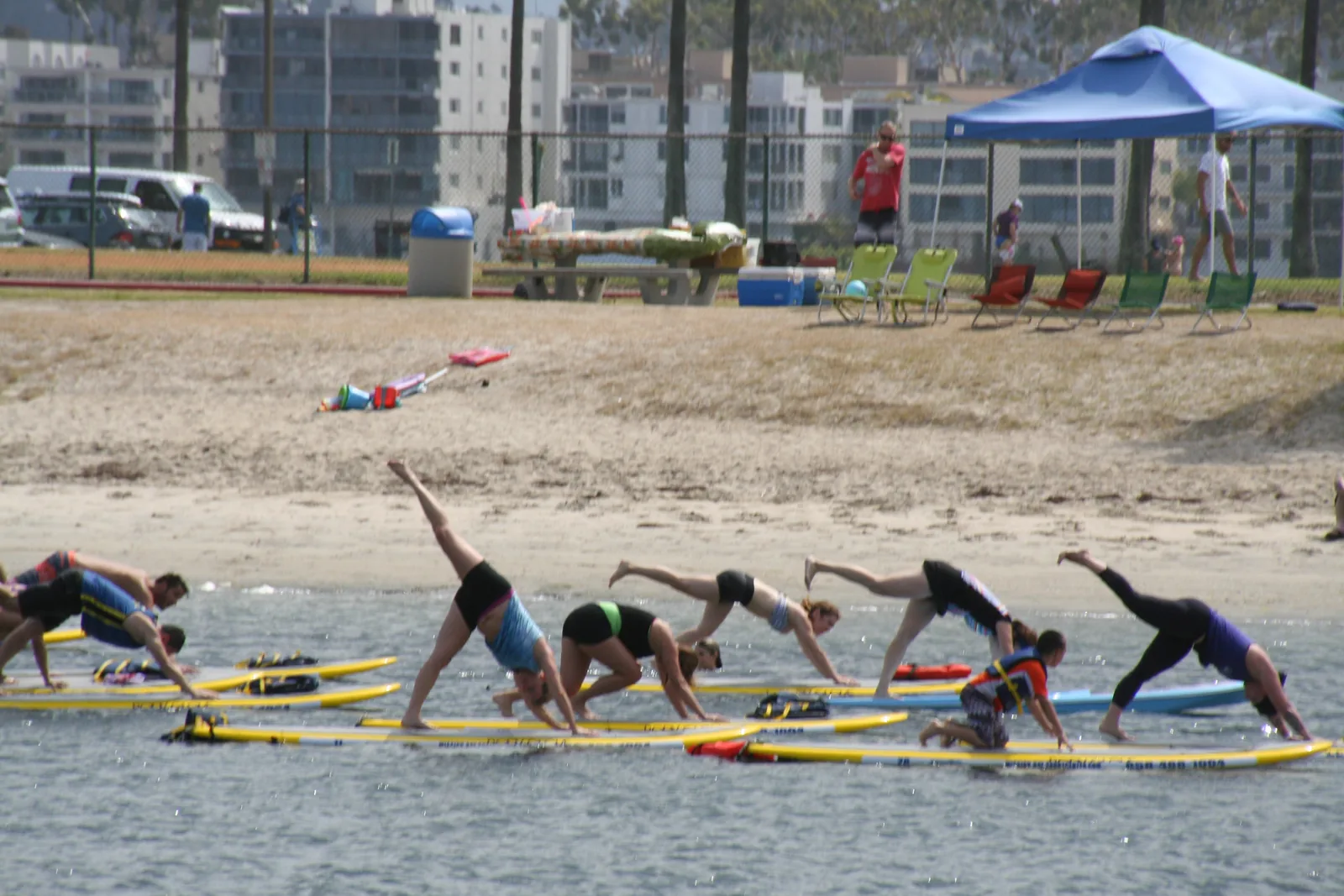 A row of people bending forward on paddleboards lined up at the water's edge, with a built-up shoreline behind.
