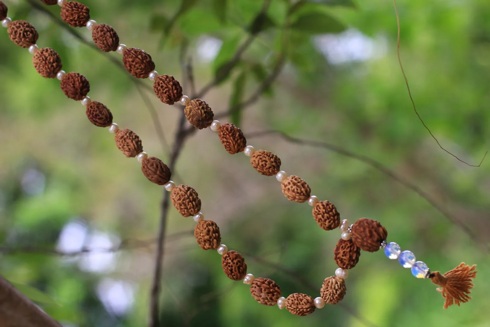 A hand holding a strand of dark rudraksha prayer beads, with soft green leaves out of focus behind.