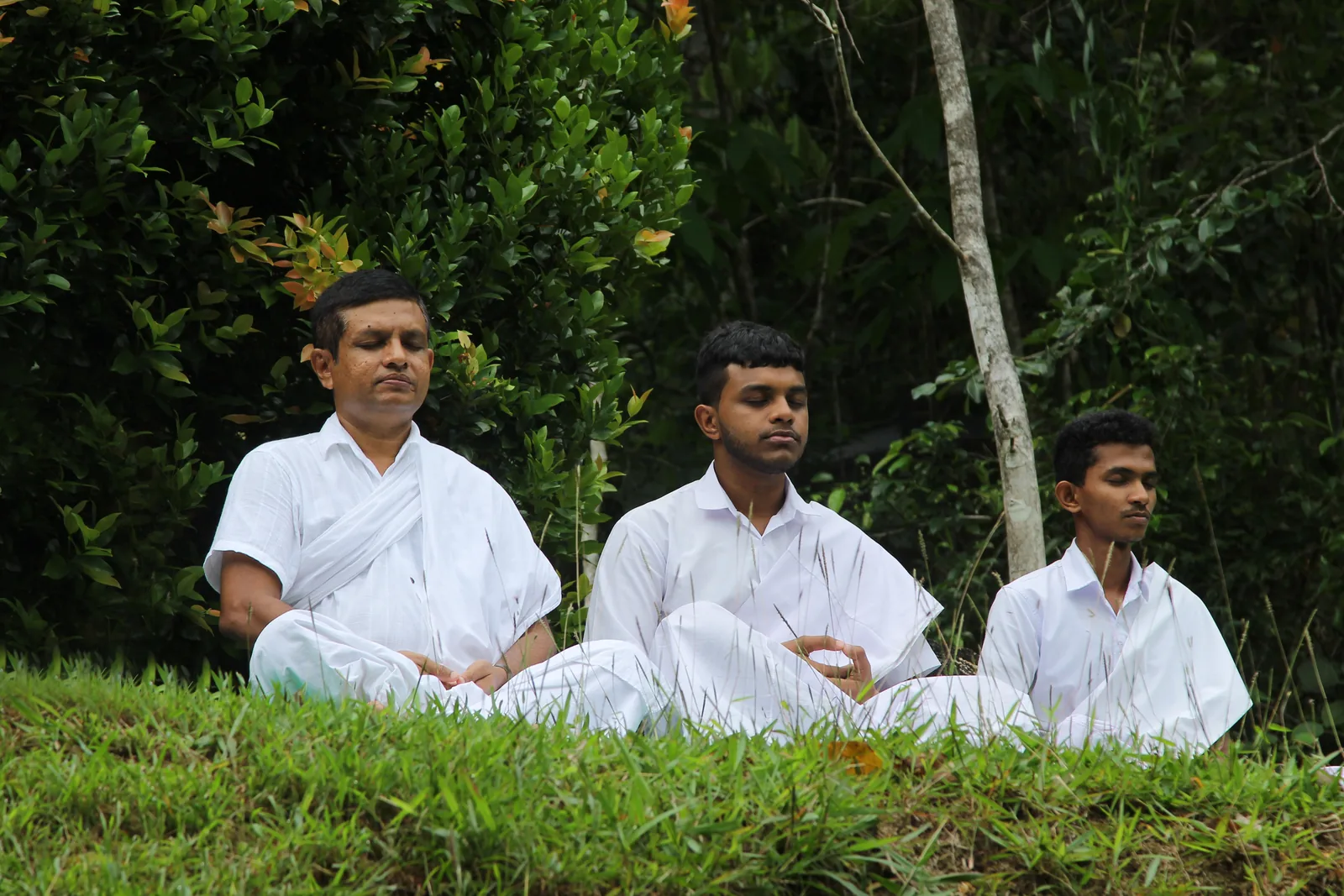 Three men dressed in white sitting cross-legged in a row on a grassy bank, eyes closed, with dense green foliage behind them.